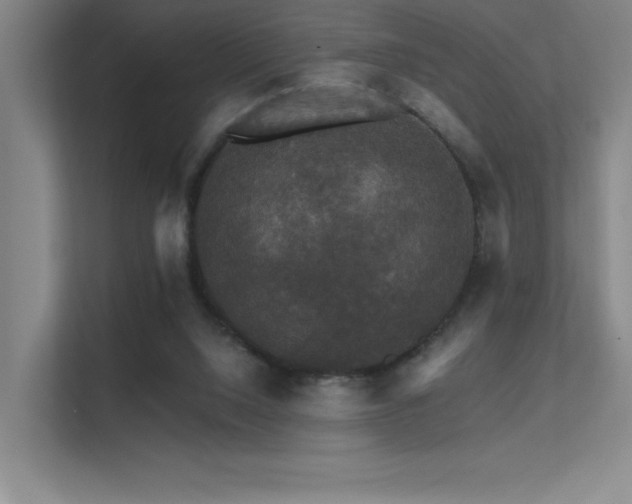 X0000112430064200908141439