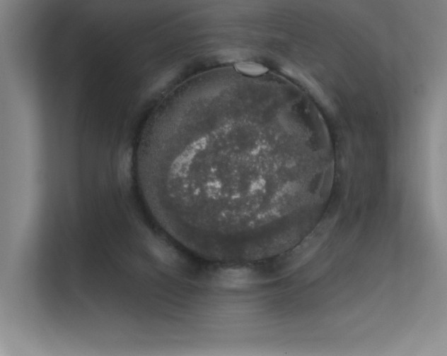 X0000112430066200908141439