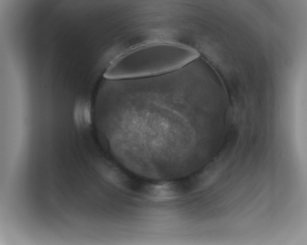 X0000112430068200908141439