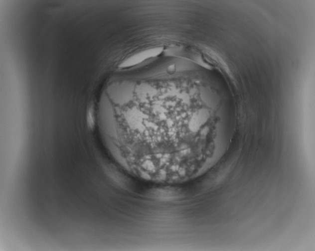 X0000112430069200908141439