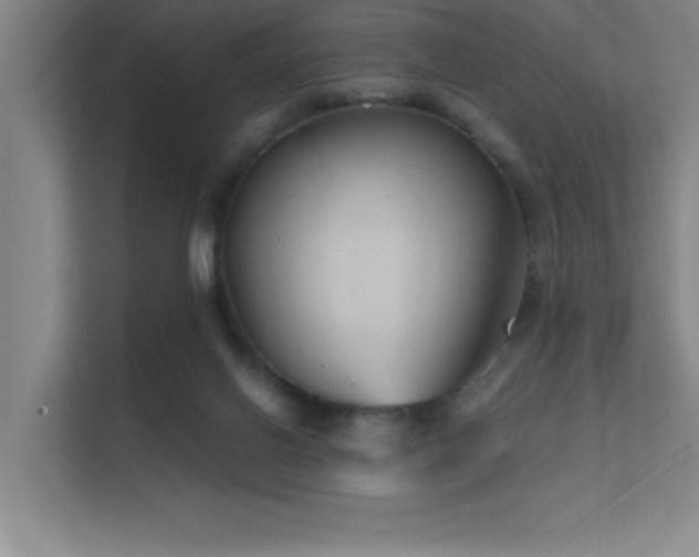 X0000112430070200908141439