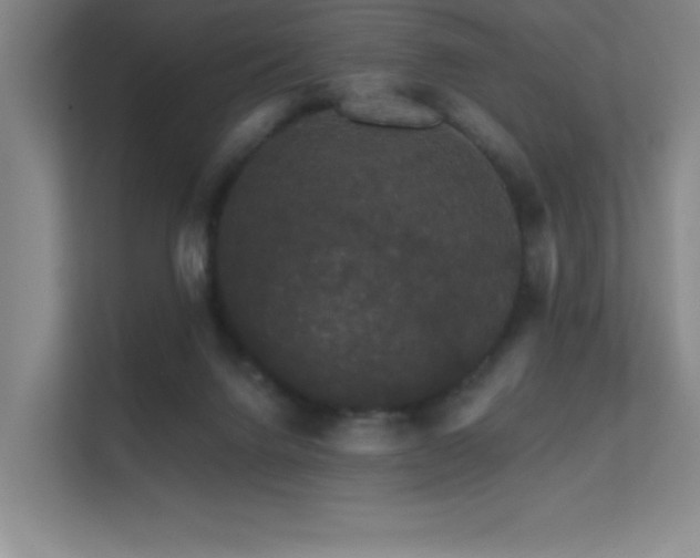 X0000112430072200908141439