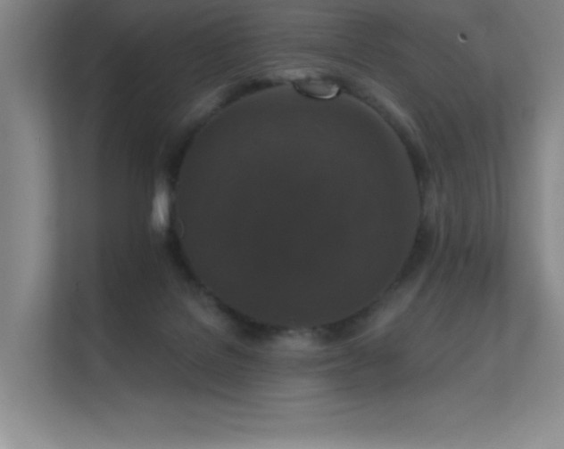 X0000112430076200908141439