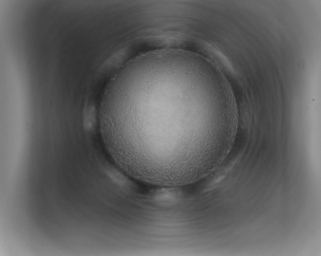 X0000112430077200908141439