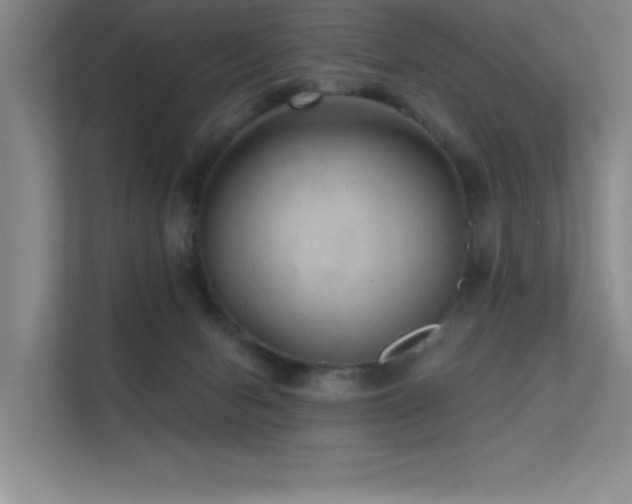 X0000112430078200908141439