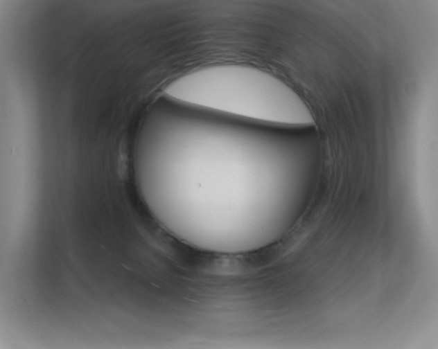X0000112430080200908141439