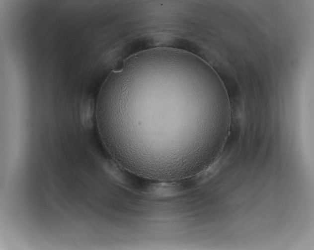 X0000112430082200908141439