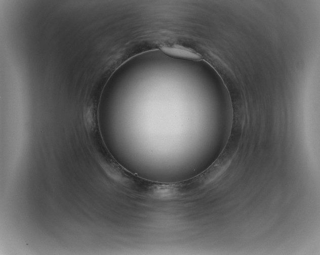 X0000112430088200908141439