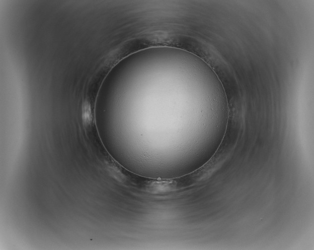 X0000112430089200908141439