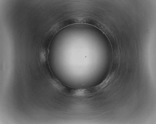 X0000112430090200908141439