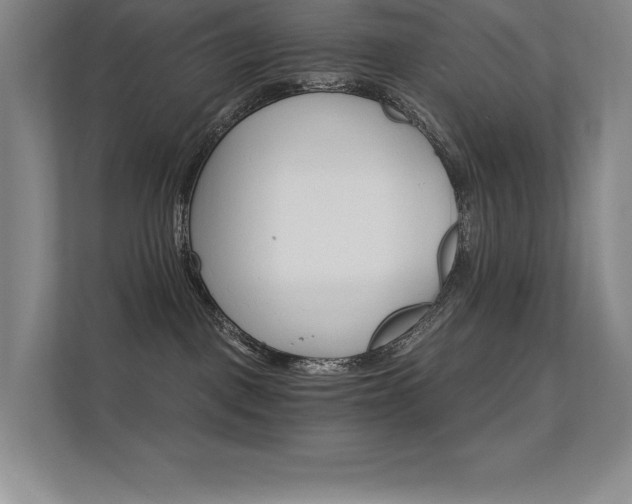 X0000112430093200908141439