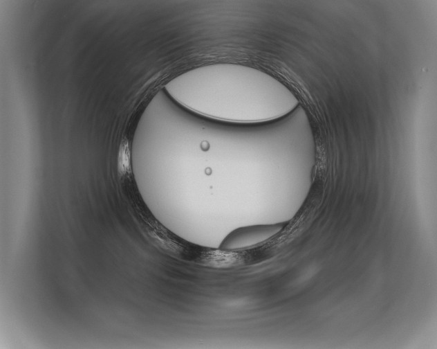 X0000112430095200908141439