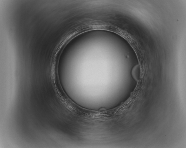 X0000112430098200908141439