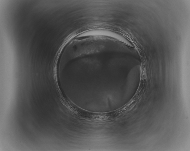 X0000112430099200908141439