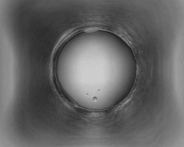 X0000112430101200908141439