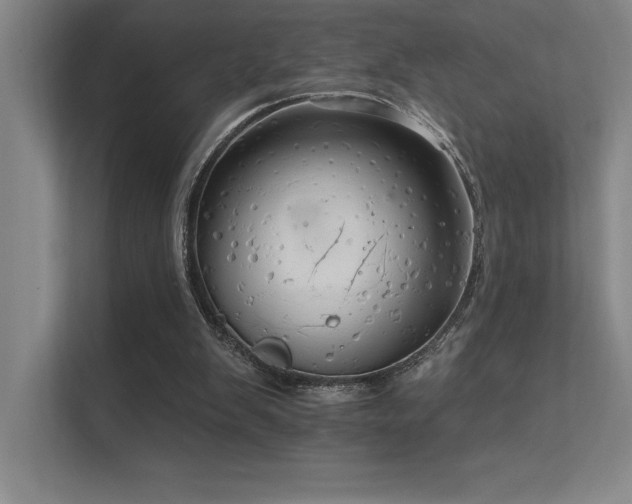 X0000112430103200908141439