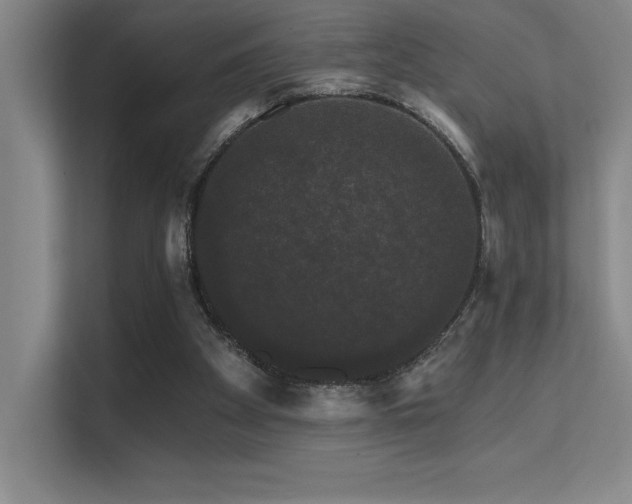 X0000112430105200908141439