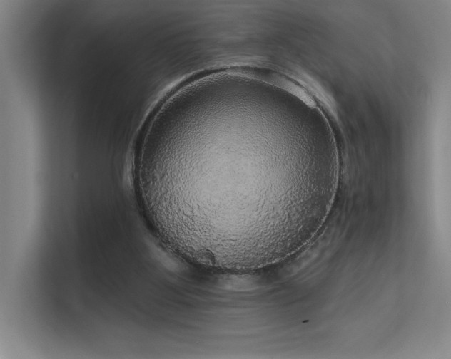 X0000112430107200908141439