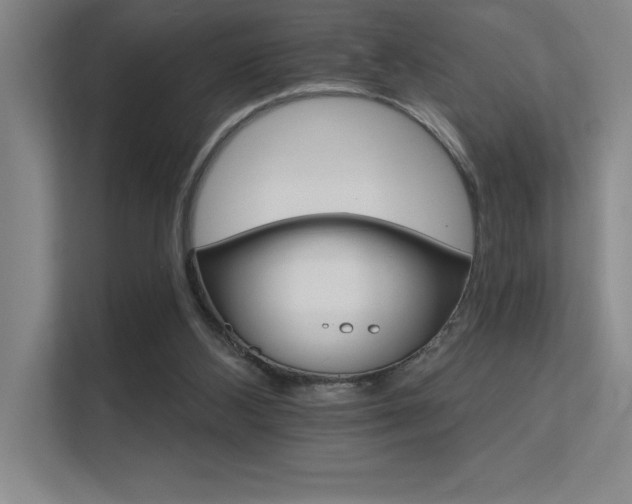 X0000112430108200908141439