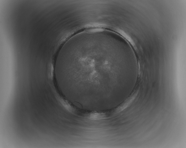 X0000112430109200908141439