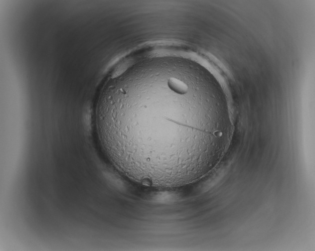 X0000112430111200908141439