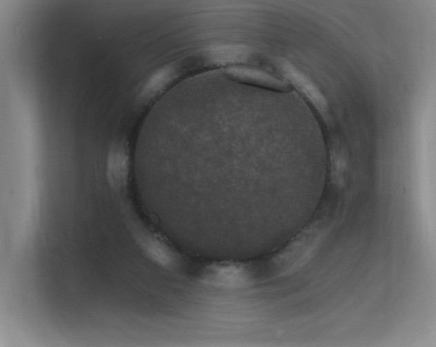 X0000112430113200908141439