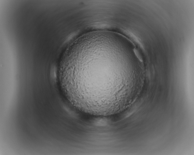 X0000112430115200908141439