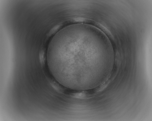 X0000112430116200908141439