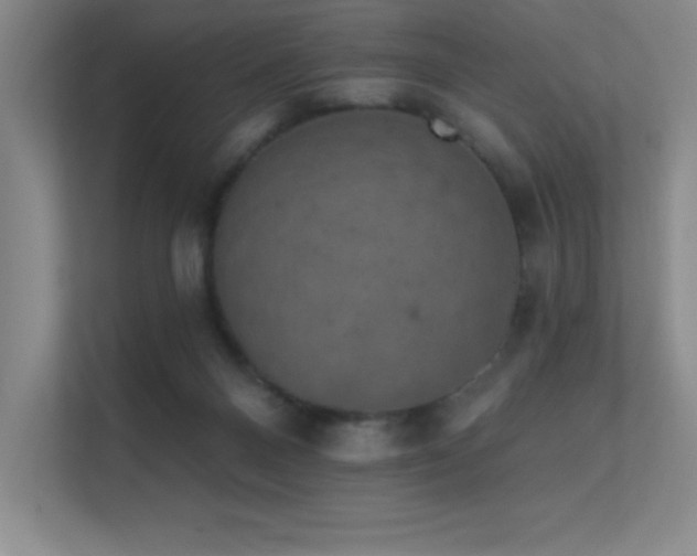 X0000112430120200908141439