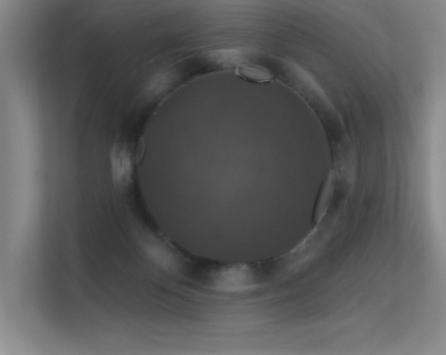 X0000112430124200908141438
