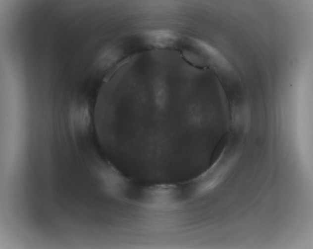 X0000112430128200908141438