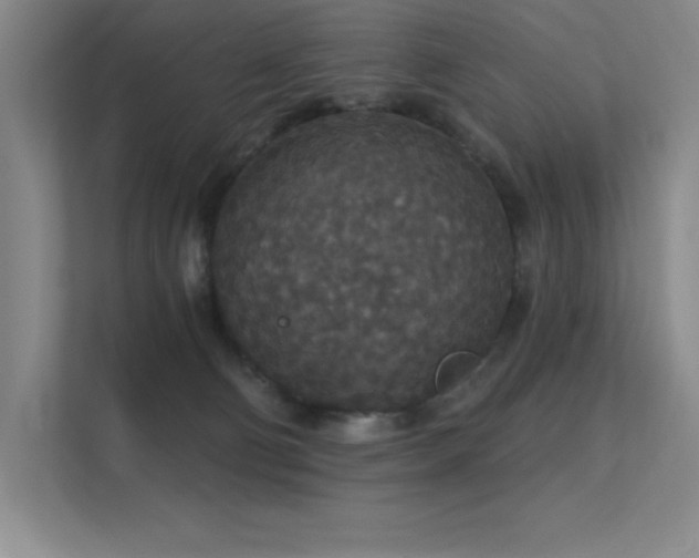 X0000112430130200908141438