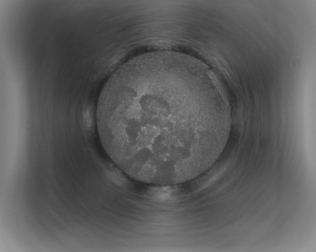 X0000112430131200908141438