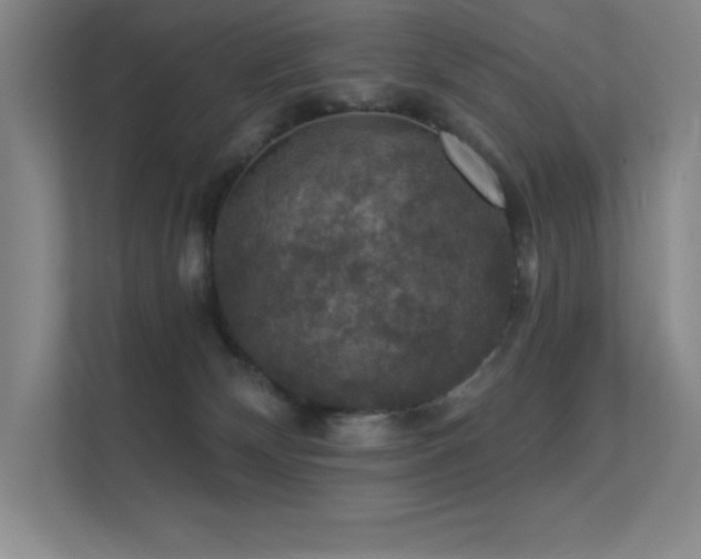 X0000112430132200908141438