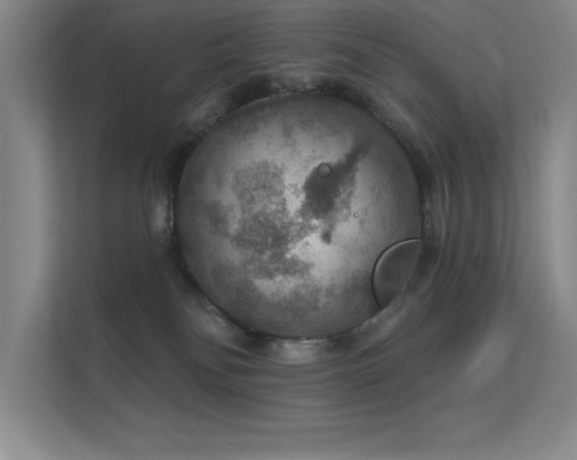 X0000112430134200908141438