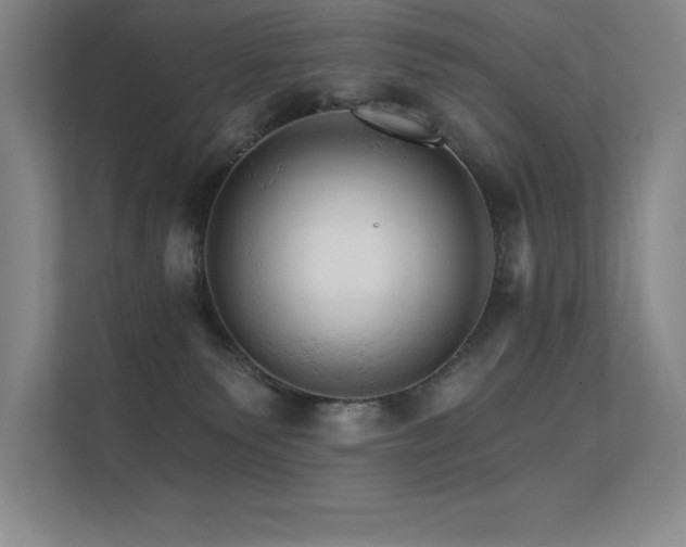 X0000112430135200908141438