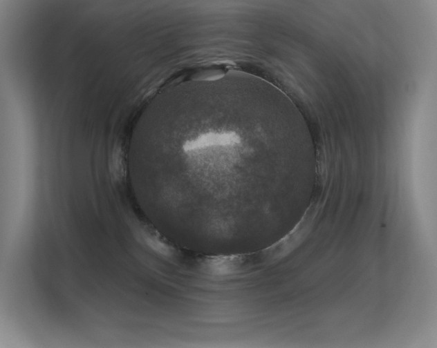 X0000112430136200908141438