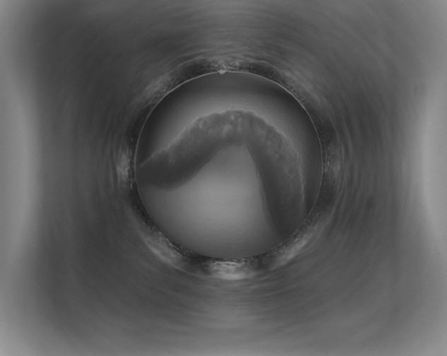 X0000112430139200908141438