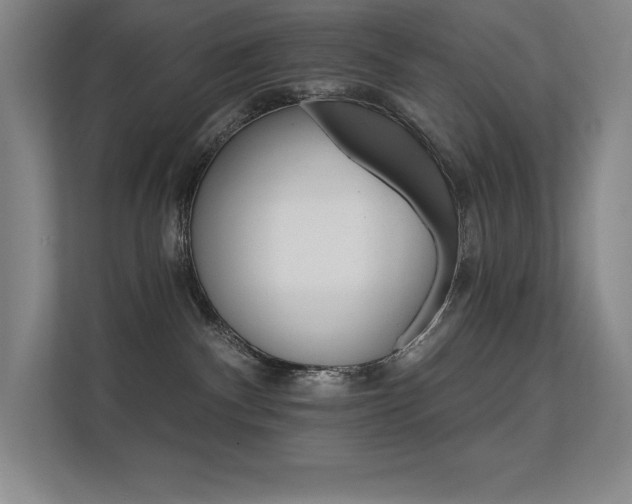 X0000112430140200908141438