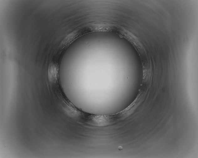 X0000112430142200908141438