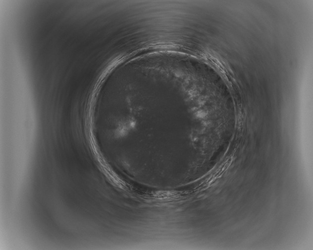 X0000112430145200908141438
