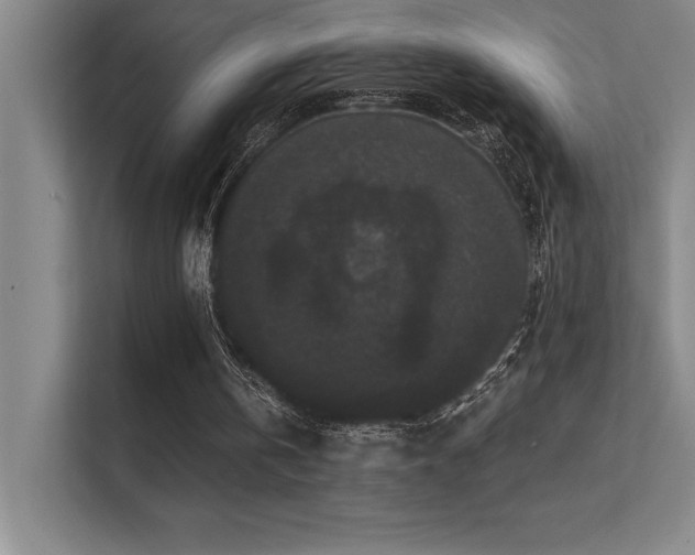 X0000112430146200908141438