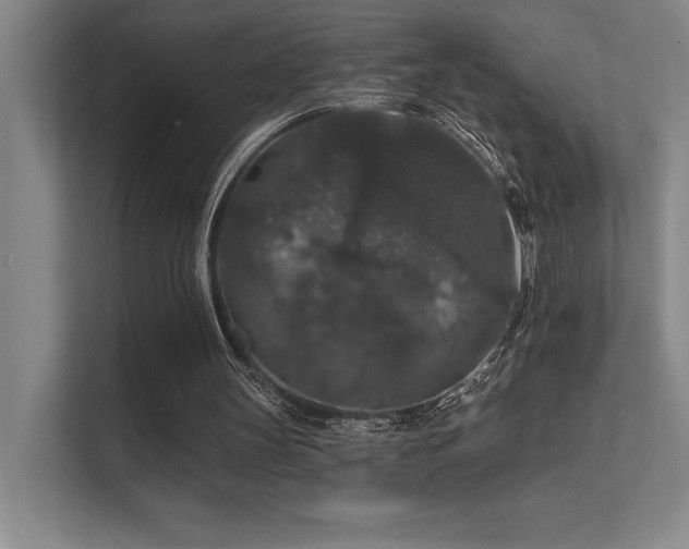 X0000112430147200908141438