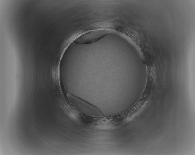 X0000112430148200908141438