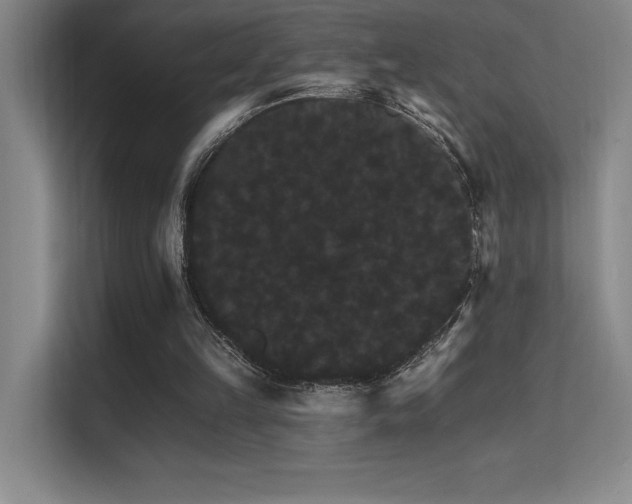 X0000112430149200908141438