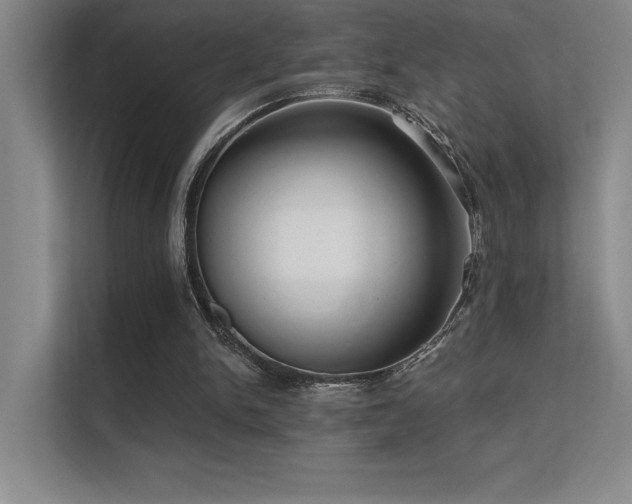 X0000112430150200908141438