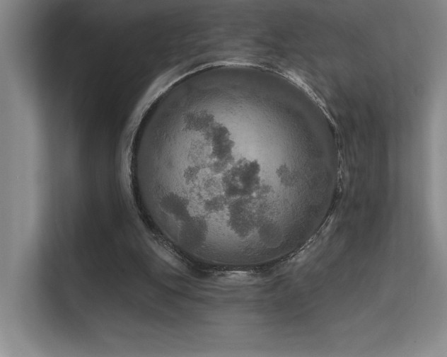 X0000112430151200908141438