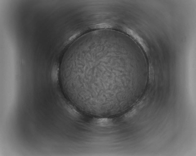 X0000112430153200908141438
