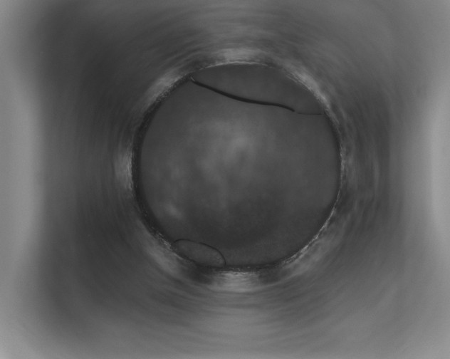 X0000112430154200908141438