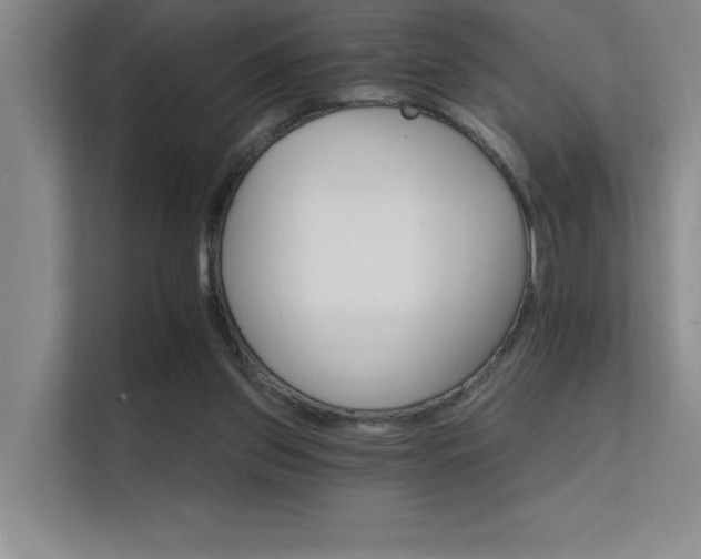 X0000112430157200908141438